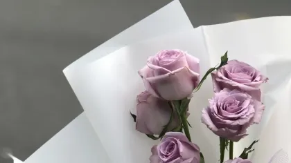 Vài cành hồng tím nhạt gói giấy trắng, cuống dài thanh mảnh