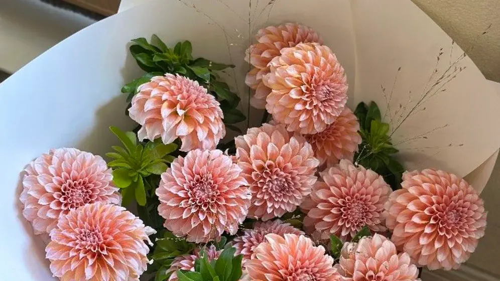Bó thược dược hồng cam gói giấy kem, đặt trong hộp cạnh ô cửa có ánh sáng ban ngày
