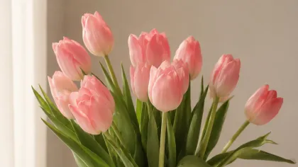 Bình thủy tinh gợn cắm tulip hồng bên cửa sổ, ánh nắng mềm chiếu lên chăn trắng