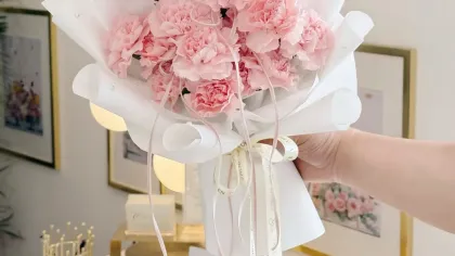 Bó cẩm chướng hồng nhạt gói giấy trắng, một tay cầm trong căn phòng sáng