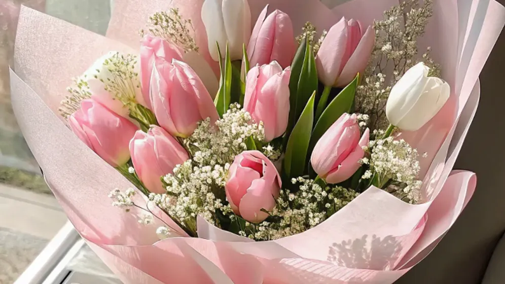 Bó tulip hồng và trắng điểm baby gói giấy hồng mờ buộc nơ, đặt bên khung cửa sổ