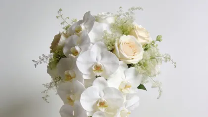 Bó hoa lan hồ điệp trắng dáng thác nước buộc ruy băng kem dài trên nền xám sáng