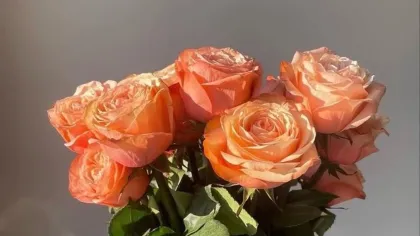 Bó hoa hồng màu san hô cắm trong bình thủy tinh có hoa văn trên bàn trắng